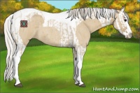 Horse Color:Silver Smoky Grullo Roan Splash Tobiano  and Silver Smoky Grullo Roan Splash Tobiano 