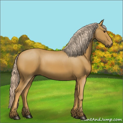 Horse Color:Palomino