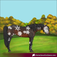 Horse Color:Brown Ice 