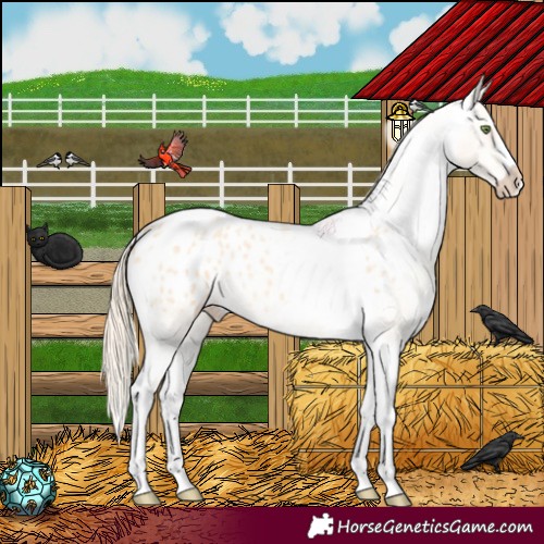 Horse Color:Gold Champagne Roan Dun Splash Tobiano Frame Appaloosa Rabicano 