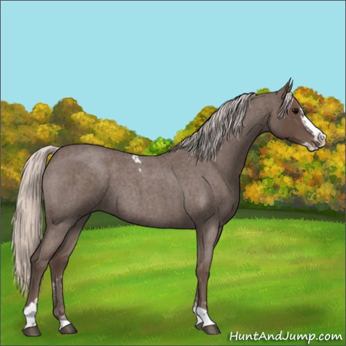 Horse Color:Silver Blue Roan Splash Tobiano  and Silver Blue Roan Splash Tobiano 