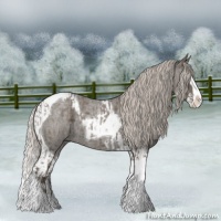 Horse Color:Silver Blue Roan Splash Tobiano  and Silver Blue Roan Splash Tobiano 