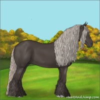 Horse Color:Silver Black 