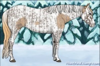 Horse Color:Silver Blue Roan Splash Tobiano and Red Roan Splash Tobiano