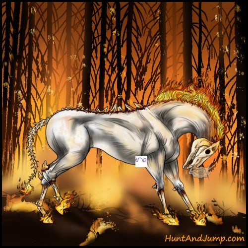 Horse Color:Gold Champagne Roan Dun Splash Tobiano Frame Appaloosa Rabicano 