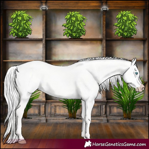Horse Color:Silver Perlino Dun 
