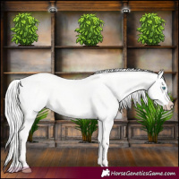Horse Color:Silver Perlino Dun 