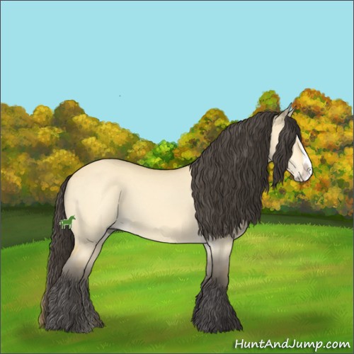 Horse Color:Buckskin Dun Splash