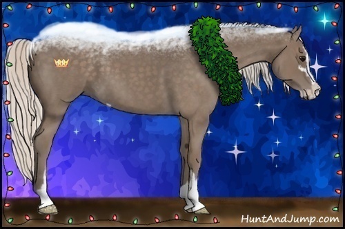 Horse Color:Silver Blue Roan Sabino 