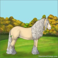 Horse Color:Palomino Dun Splash 