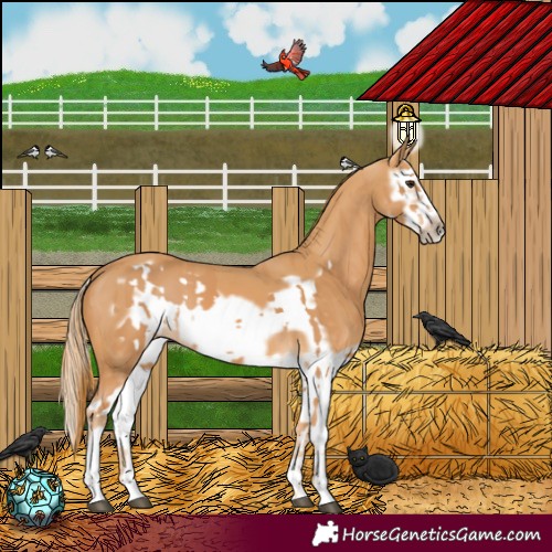 Horse Color:Chestnut Splash Frame  and Chestnut Splash Frame 