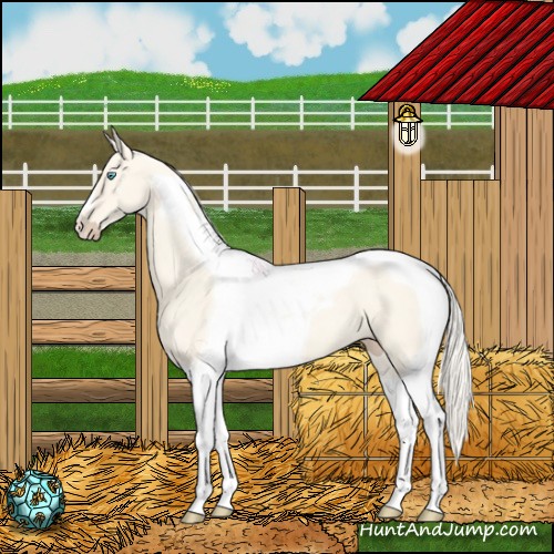 Horse Color:Cremello Dun Tobiano 