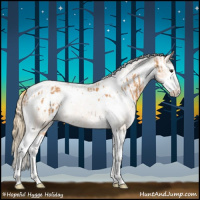 Horse Color:Chestnut Splash Tobiano  and Chestnut Splash Tobiano Appaloosa 