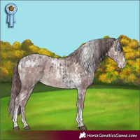 Horse Color:Platinum Liver Chestnut Splash Tobiano  and Platinum Chocolate Sable Champagne Splash Tobiano 