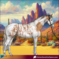 Horse Color:Bay Tobiano  and Chestnut Splash Tobiano 