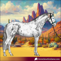 Horse Color:Black Splash Tobiano  and White Spotted Bay Splash Tobiano 