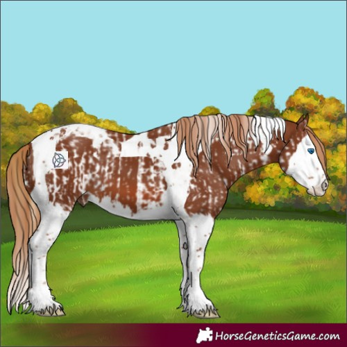 Horse Color:Chestnut Splash Tobiano  and Chestnut Splash Tobiano 