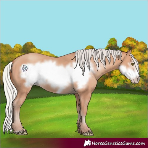 Horse Color:Silver Amber Champagne Frame 