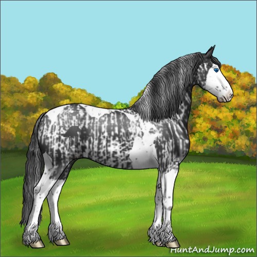 Horse Color:Black Splash Tobiano  and Black Splash Tobiano 