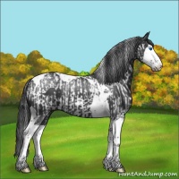 Horse Color:Black Splash Tobiano  and Black Splash Tobiano 