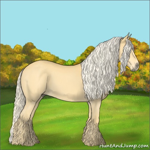 Horse Color:Palomino