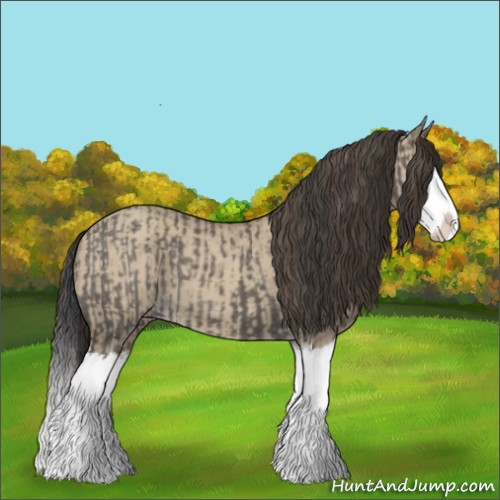 Horse Color:Grullo Sabino Splash  and Classic Champagne Dun Sabino Splash 