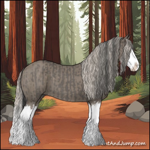 Horse Color:Grullo Sabino Splash  and Silver Grullo Sabino Splash 