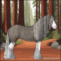 Horse Color:Grullo Sabino Splash  and Silver Grullo Sabino Splash 