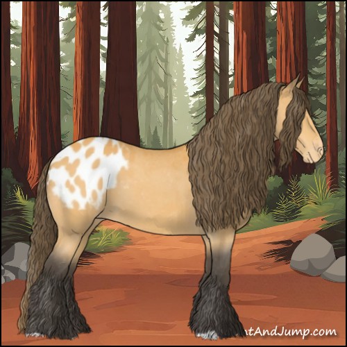 Horse Color:Buckskin Blanket 
