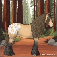 Horse Color:Buckskin Blanket 