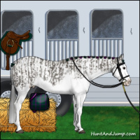 Horse Color:Grullo Sabino Splash  and Grullo Sabino Splash 