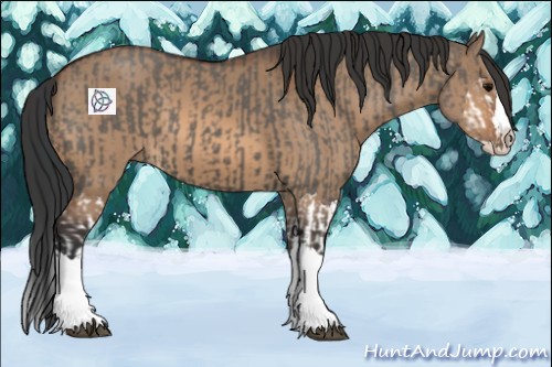 Horse Color:Grullo Sabino Splash  and Bay Dun Sabino Splash 