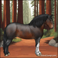 Horse Color:Brown 