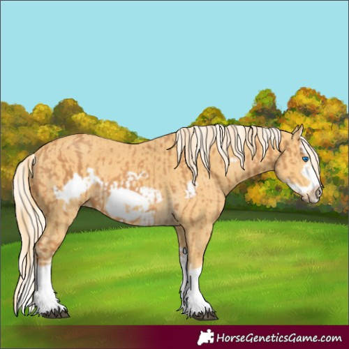 Horse Color:Chestnut Splash Frame and Palomino Splash Frame