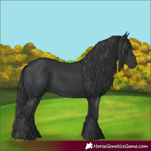Horse Color:White Spotted Black