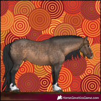 Horse Color:Brown Dun