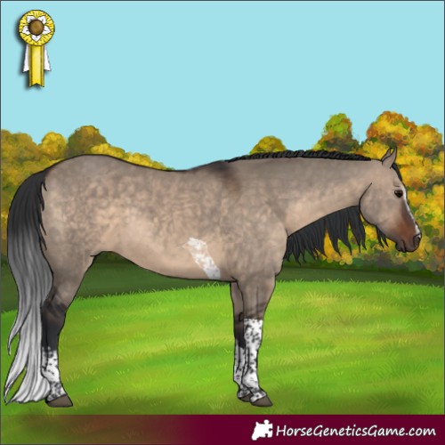 Horse Color:White Spotted Brown Dun Tobiano 