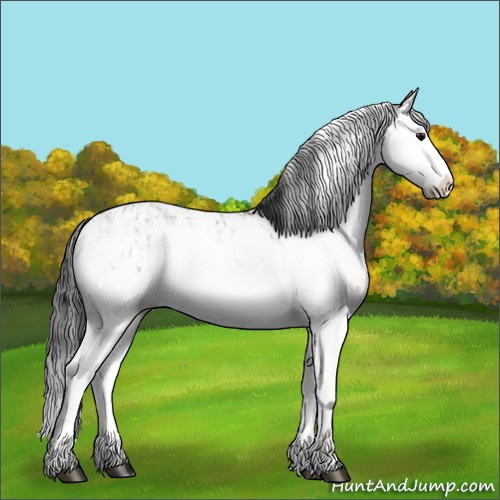 Horse Color:Grullo Sabino Splash  and Grullo Sabino Splash 