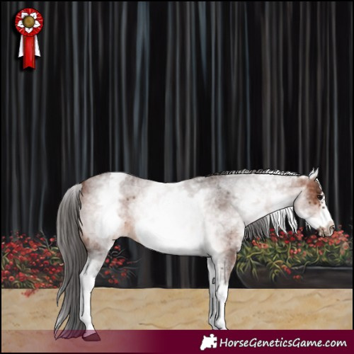 Horse Color:White Spotted Brown Roan Frame Rabicano