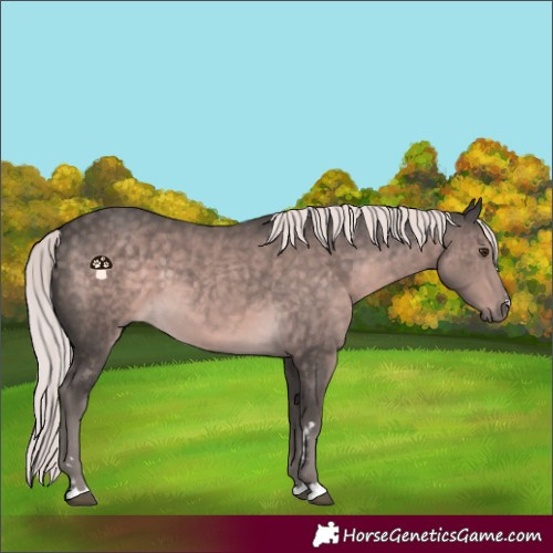 Horse Color:Platinum Chocolate Palomino