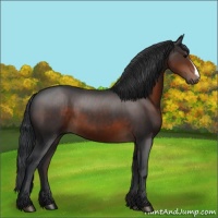 Horse Color:Brown 