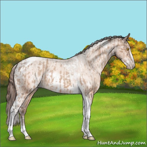 Horse Color:Amber Champagne Sabino Tobiano Appaloosa and Amber Champagne Sabino Tobiano Frame Appaloosa
