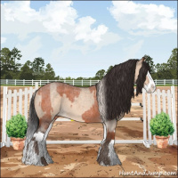 Horse Color:Silver Brown Roan Sabino  and Brown Roan Dun Splash 