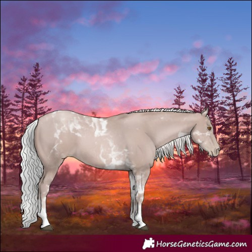 Horse Color:Platinum Silver Black Pearl Tobiano