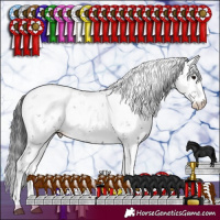 Horse Color:Black Sabino