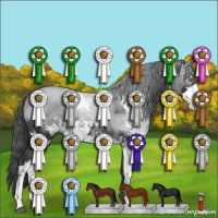 Horse Color:Black Sabino 