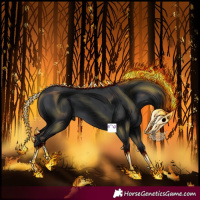 Horse Color:Black 