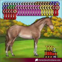 Horse Color:Brown Pearl Tobiano 