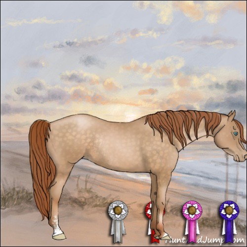 Horse Color:Buckskin Pearl Sabino Rabicano 