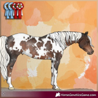 Horse Color:White Spotted Liver Chestnut Mushroom Rabicano 